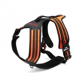 Truelove Forest dog Harness - TLH5551
