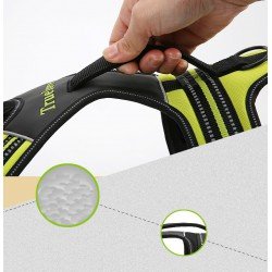 Truelove Forest dog Harness - TLH5551