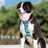 Truelove Country + Limited Edition dog Harness - TLH5653