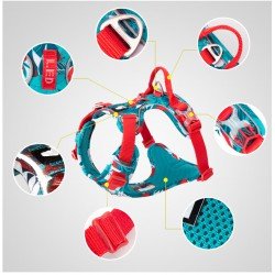 Truelove Country + Limited Edition dog Harness - TLH5653