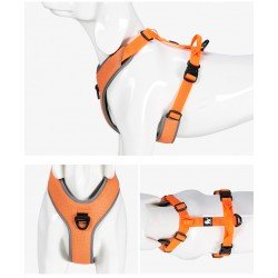 Truelove Mountain dog Harness - TLH6071