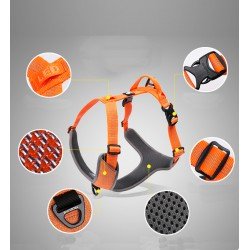Truelove Mountain dog Harness - TLH6071