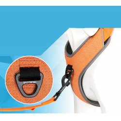 Truelove Mountain dog Harness - TLH6071