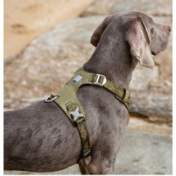 Truelove Colorado dog Harness - TLH6281