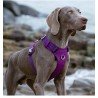 Truelove Colorado dog Harness - TLH6281