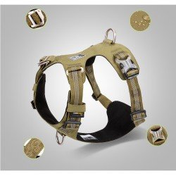 Truelove Colorado + dog Harness - TLH6282