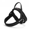 Truelove Alaska dog Harness - TLH5811