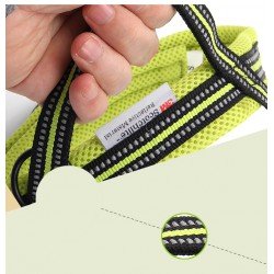 Truelove Alaska dog Harness - TLH5811