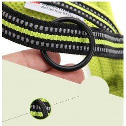 Truelove Alaska dog Harness - TLH5811