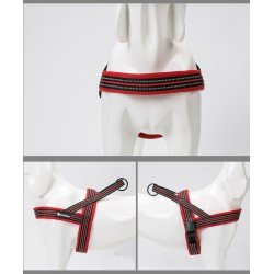 Truelove Alaska dog Harness - TLH5811