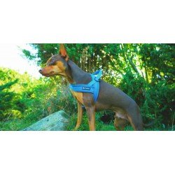 Truelove Alaska dog Harness - TLH5811