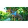Truelove Alaska dog Harness - TLH5811