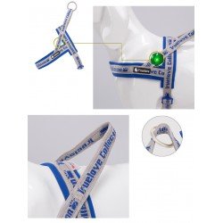 Truelove Alaska + dog Harness - TLH58121
