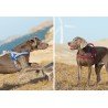 Truelove Alaska + dog Harness - TLH58121