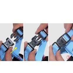 Truelove Saloon dog Harness - TLH1911
