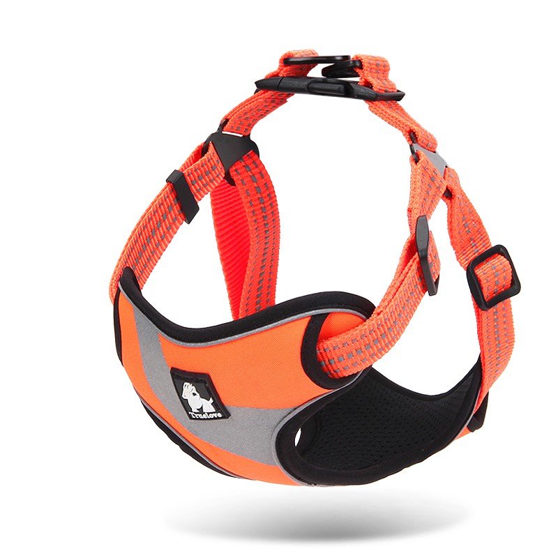 Truelove Training dog Harness - TLH5991