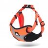 Truelove Training dog Harness - TLH5991