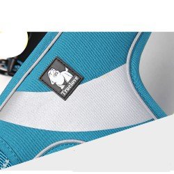 Truelove Training dog Harness - TLH5991