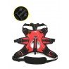 Truelove Excursion dog Harness - TLB2051