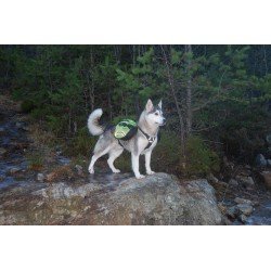 Truelove Excursion dog Harness - TLB2051