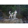 Truelove Excursion dog Harness - TLB2051