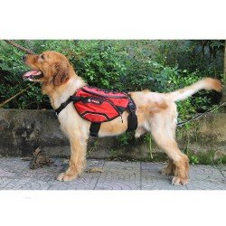 Truelove Excursion dog Harness - TLB2051