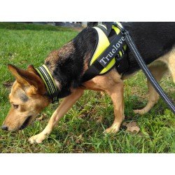 Truelove Flex dog Collar - TLC5011