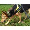 Truelove Flex dog Collar - TLC5011