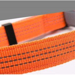Truelove Flux dog Collar - TLC5271