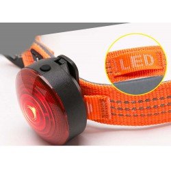 Truelove Flux dog Collar - TLC5271