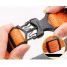 Truelove Flux dog Collar - TLC5271