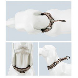 Truelove Stop dog Collar - TLC5371