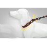 Truelove Stop dog Collar - TLC5371
