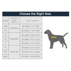 Truelove Flex + dog Collar - TLC50121