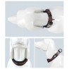 Truelove Flex + dog Collar - TLC50121