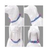Truelove Flux + dog Collar - TLC5272