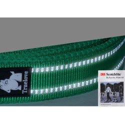 Truelove Walking dog Leash - TLL2111