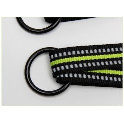 Truelove Share + 3 point dog Leash - TLL2371