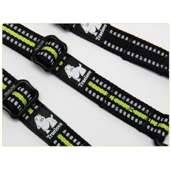 Truelove Share + 3 point dog Leash - TLL2371