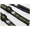 Truelove Share + 3 point dog Leash - TLL2371