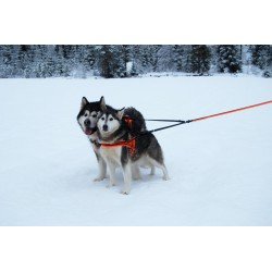 Truelove Share + 3 point dog Leash - TLL2371