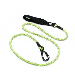 Truelove Running dog Leash - TLL2571