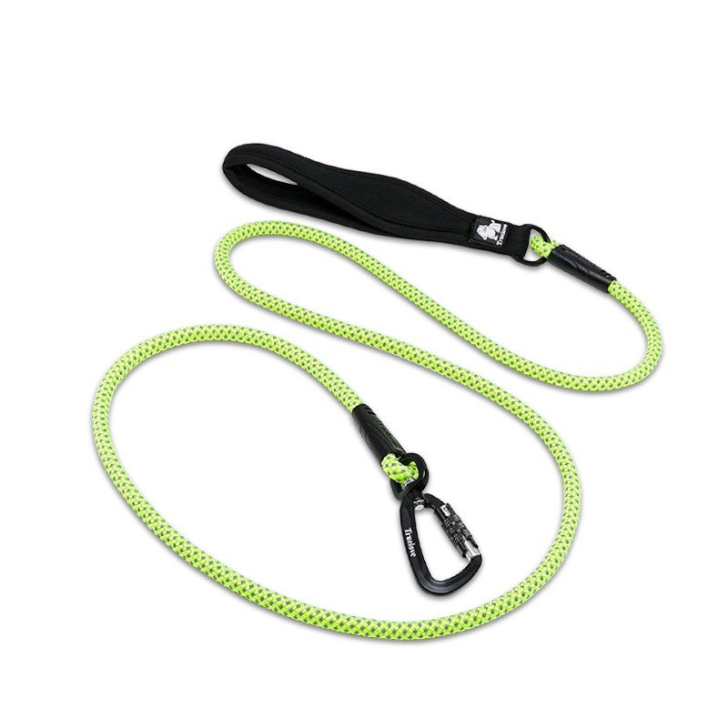 Truelove Running dog Leash - TLL2571