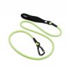 Truelove Running dog Leash - TLL2571