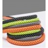 Truelove Running dog Leash - TLL2571