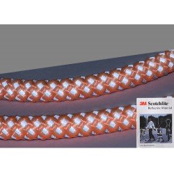 Truelove Running dog Leash - TLL2571