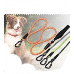 Truelove Running dog Leash - TLL2571