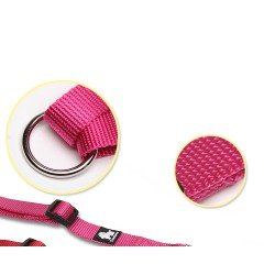 Truelove Share 3 point dog Leash - TLL2372