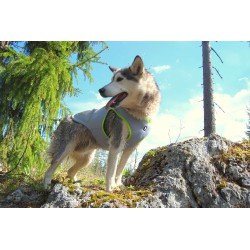 Truelove Summer Sun jacket for dogs - TLG2511