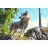 Truelove Summer Sun jacket for dogs - TLG2511